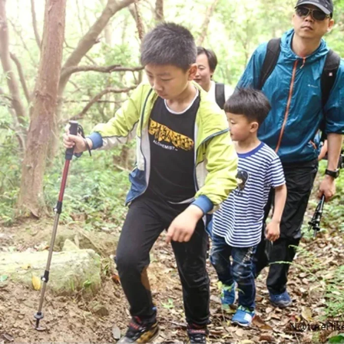 باتوم کوهنوردی Naturehike مدل NH17D001-Z