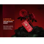 چراغ قوه فنیکس مدل LIMITED EDITION