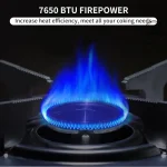 اجاق گاز نیچرهایک مدل CNK2350CF016