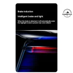 چراغ عقب دوچرخه بلک داگ مدل CBD2450ZM018