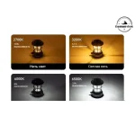 چراغ فانوسی بلک داگ CBD2450ZM021