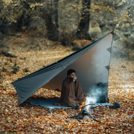 تارپ دیلور مدل Skyward