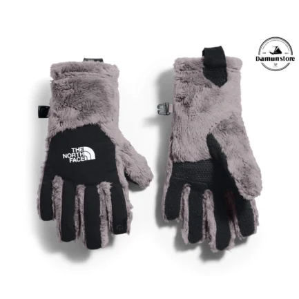 دستکش The North Face DENALI THERMAL ETIP GLOVE